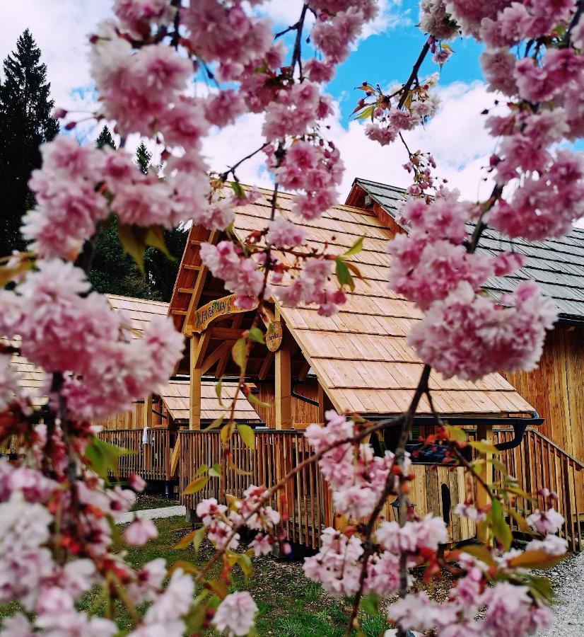 Hotel Ribno Luxury Glamping Bled Zewnętrze zdjęcie